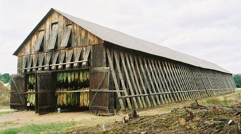 Idai Destroys 190 Tobacco Barns The Herald