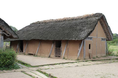 Vikings Homes Would Have Been Very Polluted Researchers Find