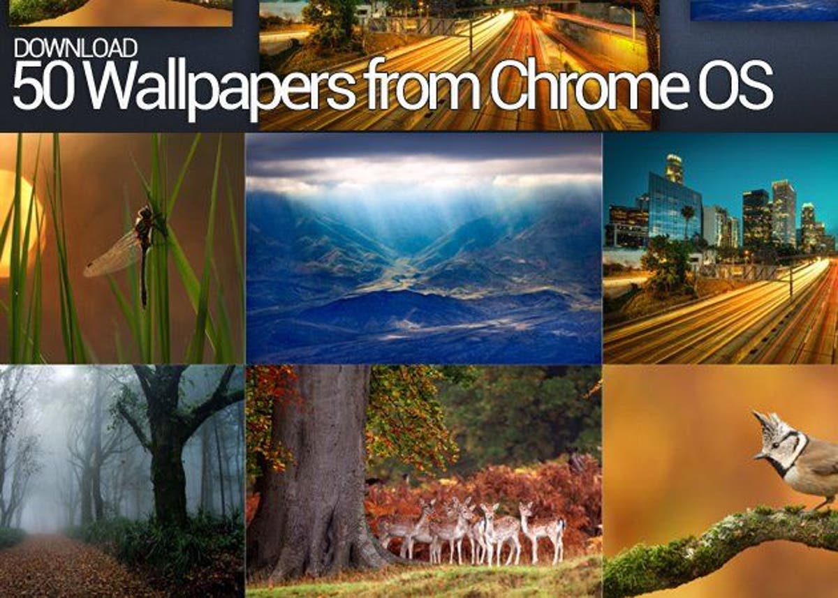 Descarga los 50 wallpapers de Chrome OS