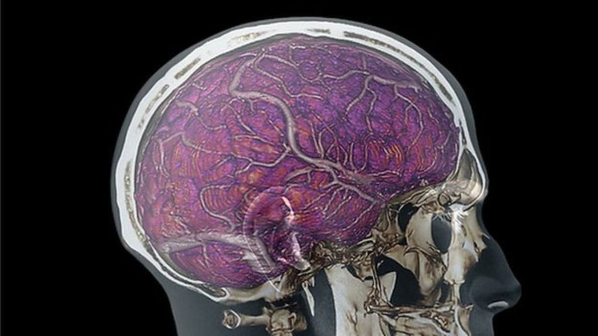 Efectos del perdón en el cerebro. Imagen obtenida de: https://live.mrf.io/statics/i/ps/www.muycomputer.com/wp-content/uploads/2015/11/cerebro-humano.jpg?width=1200&enable=upscale