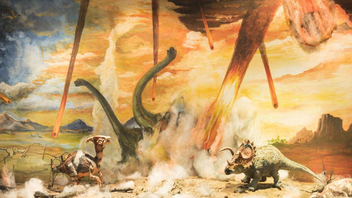 Científicos encuentran más pruebas de la extinción de los dinosaurios