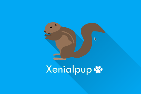 puppy linux package manager