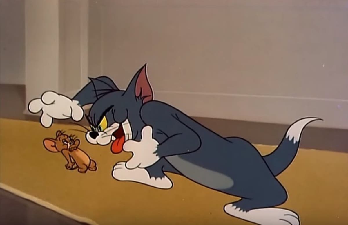 Tom Si Jerry Desene Animate In Romana Tom Si Jerry In Romana Episoade